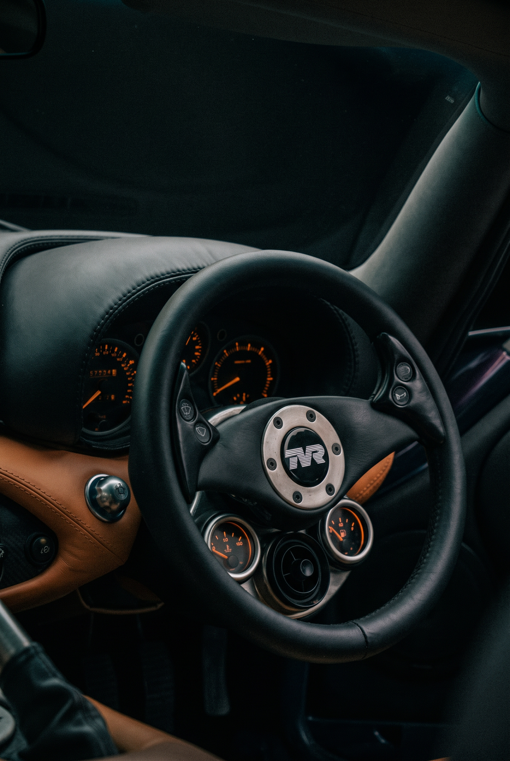 Echidna steering wheel and instrument dials