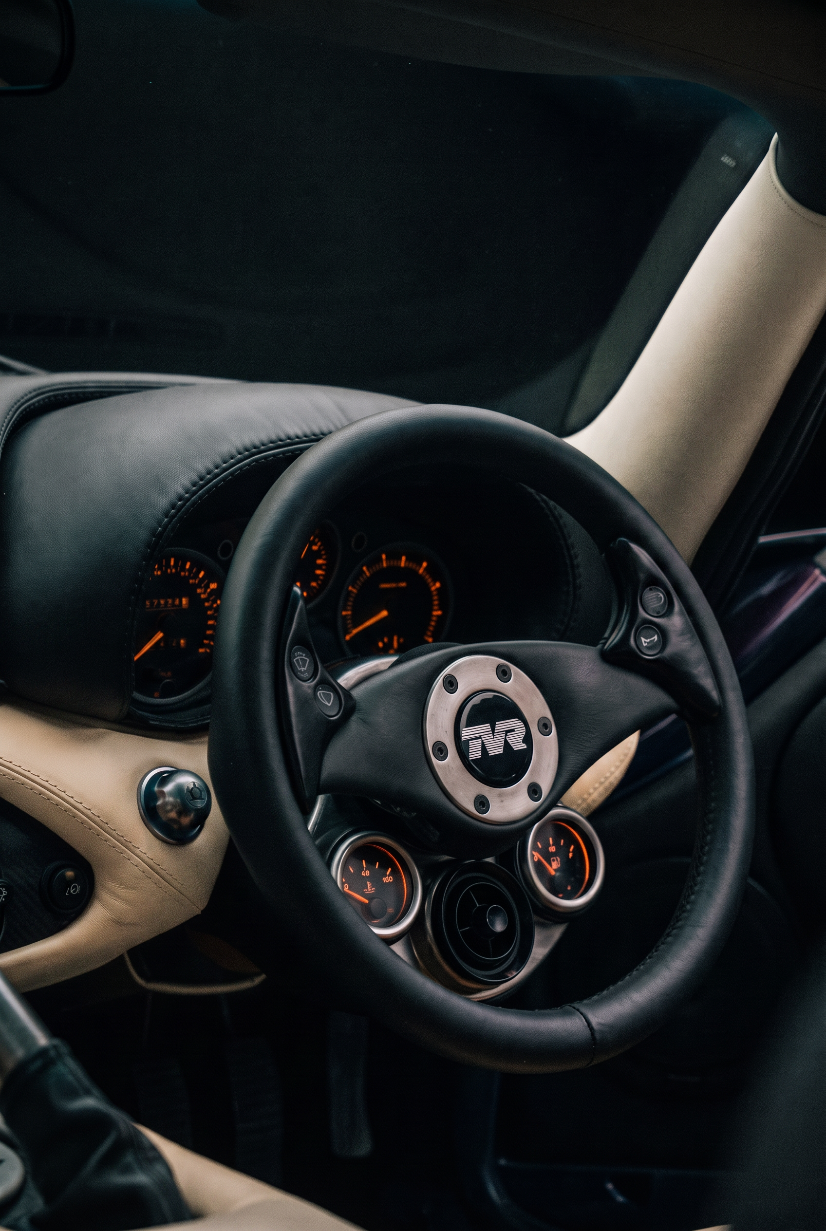 Echidna steering wheel and instrument dials
